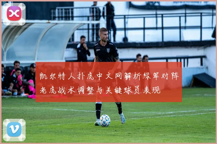 凯尔特人扑虎中文网解析绿军对阵老虎战术调整与关键球员表现