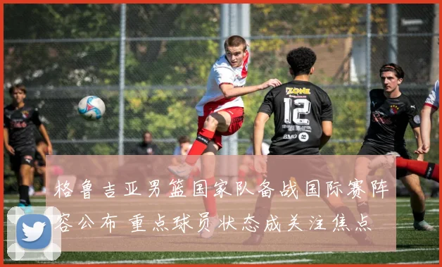 格鲁吉亚男篮国家队备战国际赛阵容公布 重点球员状态成关注焦点