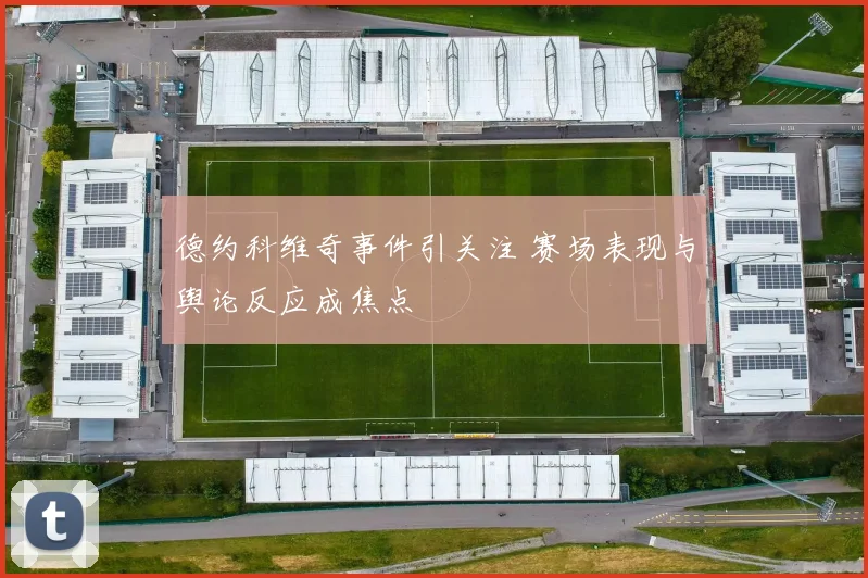 德约科维奇事件引关注 赛场表现与舆论反应成焦点