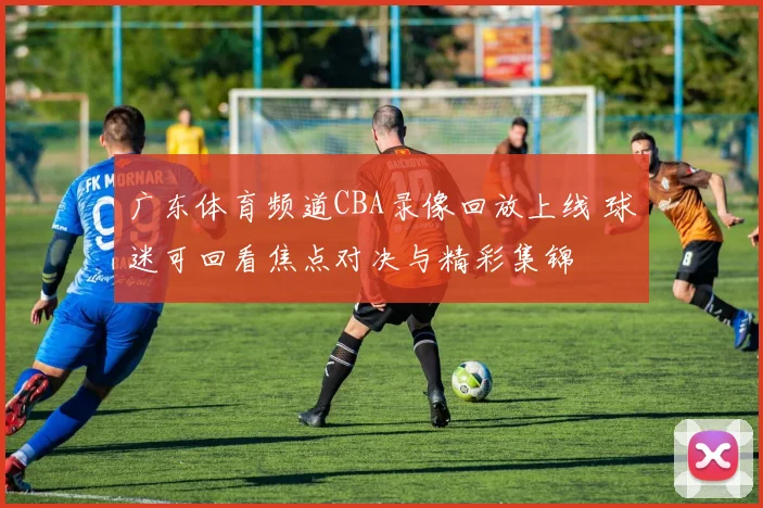 广东体育频道CBA录像回放上线 球迷可回看焦点对决与精彩集锦