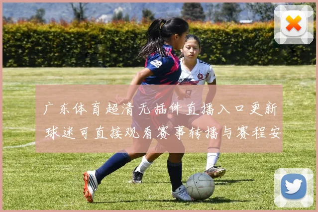广东体育超清无插件直播入口更新 球迷可直接观看赛事转播与赛程安排