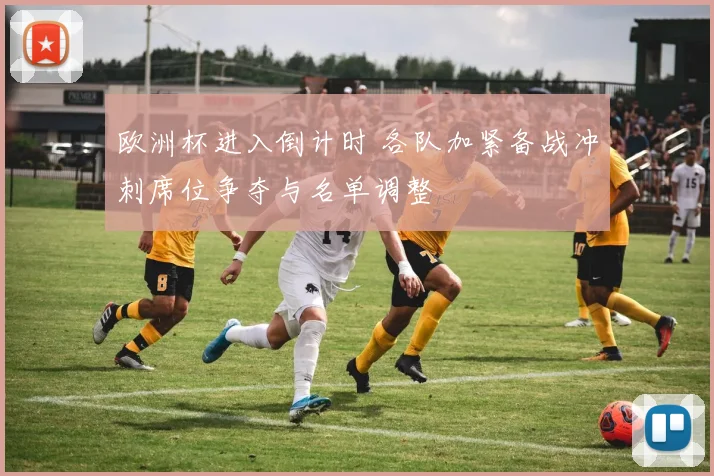 欧洲杯进入倒计时 各队加紧备战冲刺席位争夺与名单调整